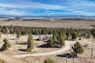 3561 Singletree Rd, Hartsel, CO 80449 - Photo 37