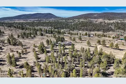 3561 Singletree Road, Hartsel, CO 80449 - Photo 41