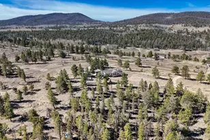 3561 Singletree Rd, Hartsel, CO 80449 - Photo 41