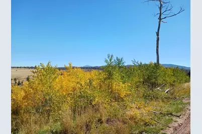 2067 Korlkoff Lane, Fort Garland, CO 81133 - Photo 9