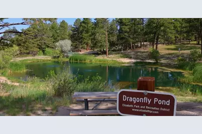 3511 Aspen Glen Loop, Elizabeth, CO 80107 - Photo 11