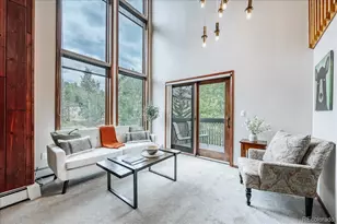 3710 Ryan Gulch Rd, Silverthorne, CO 80498 - Photo 5