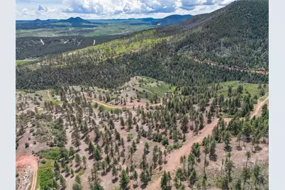 5881 Pawnee Road, Larkspur, CO 80118 - Photo 3