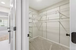7755 Solstice Way, Castle Rock, CO 80108 - Photo 19