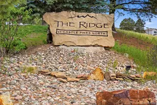 990 Glen Oaks Ave, Castle Pines, CO 80108 - Photo 37