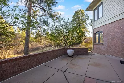 76 Crestone Way, Castle Rock, CO 80108 - Photo 45