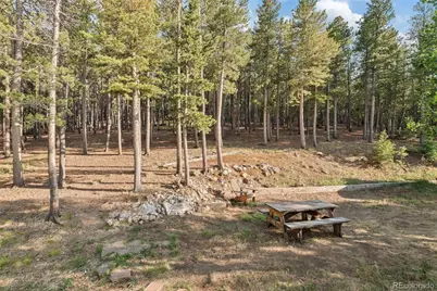 100 Raptor Point Road, Golden, CO 80403 - Photo 37