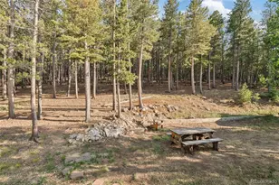100 Raptor Point Rd, Golden, CO 80403 - Photo 37