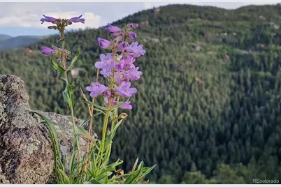 9648 Yegge Road, Morrison, CO 80465 - Photo 3