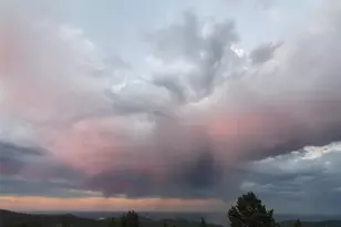 9648 Yegge Rd, Morrison, CO 80465 - Photo 15