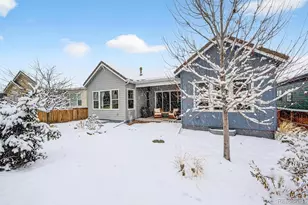 11234 Sweet Cicely Dr, Parker, CO 80134 - Photo 25