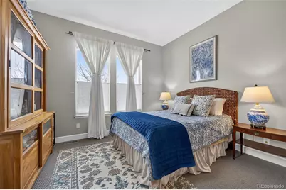 11234 Sweet Cicely Drive, Parker, CO 80134 - Photo 19