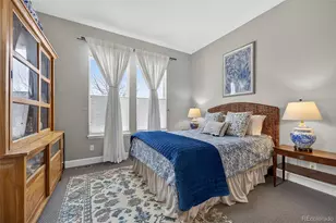 11234 Sweet Cicely Dr, Parker, CO 80134 - Photo 19