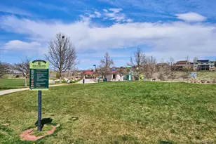 9962 Hawthorne St, Highlands Ranch, CO 80126 - Photo 45