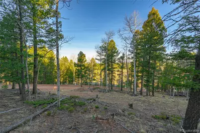 88 Malmsey Lane, Divide, CO 80814 - Photo 3