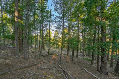 88 Malmsey Lane, Divide, CO 80814 - Photo 11