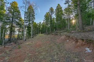 88 Malmsey Ln, Divide, CO 80814 - Photo 1