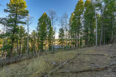 88 Malmsey Lane, Divide, CO 80814 - Photo 9