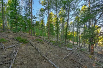 88 Malmsey Lane, Divide, CO 80814 - Photo 7