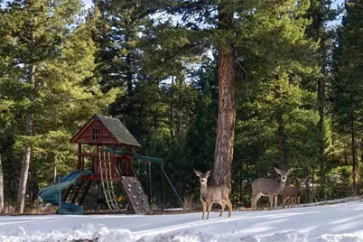 7837 S Settlers Drive, Morrison, CO 80465 - Photo 41
