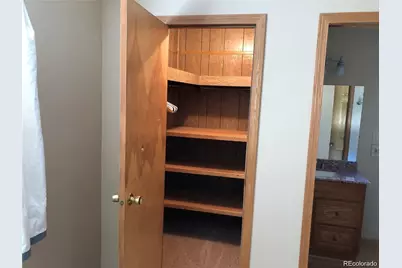 427 Idaho Street, Idaho Springs, CO 80452 - Photo 27