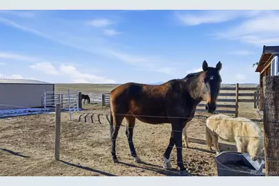 7600 Patrick Trail, Elizabeth, CO 80107 - Photo 23