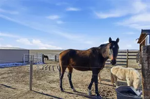 7600 Patrick Trail, Elizabeth, CO 80107 - Photo 23