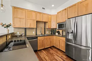 1738 N Franklin Street, Denver, CO 80218 - Photo 11