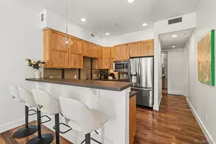 1738 N Franklin Street, Denver, CO 80218 - Photo 9