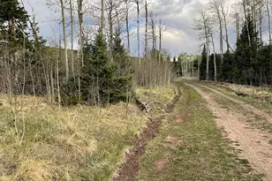 Lot 2610 Lux Ln, Fort Garland, CO 81133 - Photo 1