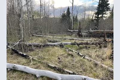 Lot 2610 Lux Lane, Fort Garland, CO 81133 - Photo 13
