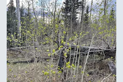 Lot 2610 Lux Lane, Fort Garland, CO 81133 - Photo 15