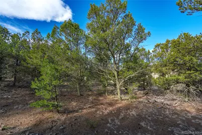 1382 Chinook Drive, Canon City, CO 81212 - Photo 5