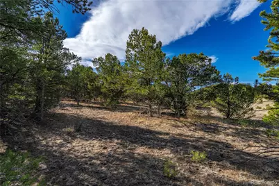 1382 Chinook Drive, Canon City, CO 81212 - Photo 25