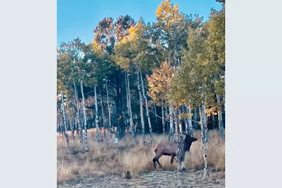 1052 Boreas Circle, Jefferson, CO 80456 - Photo 37