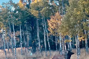 1052 Boreas Cir, Jefferson, CO 80456 - Photo 37