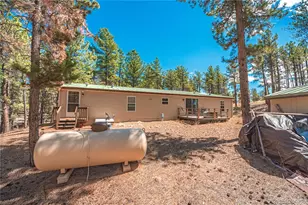 2675 Pikes Peak Dr, Florissant, CO 80816 - Photo 35
