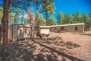 2675 Pikes Peak Dr, Florissant, CO 80816 - Photo 31