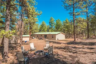 2675 Pikes Peak Dr, Florissant, CO 80816 - Photo 29