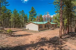 2675 Pikes Peak Dr, Florissant, CO 80816 - Photo 39