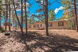 2675 Pikes Peak Dr, Florissant, CO 80816 - Photo 3