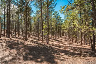 2675 Pikes Peak Dr, Florissant, CO 80816 - Photo 41