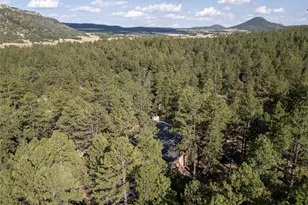 545 Tenderfoot Dr, Larkspur, CO 80118 - Photo 39