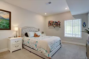 527 Felicity Loop, Castle Rock, CO 80109 - Photo 21