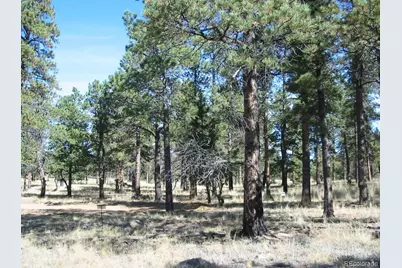 14794 Wetterhorn Peak Trail, Pine, CO 80470 - Photo 5