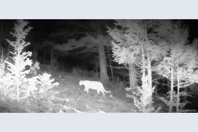 14794 Wetterhorn Peak Trail, Pine, CO 80470 - Photo 13