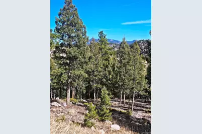 14794 Wetterhorn Peak Trail, Pine, CO 80470 - Photo 7