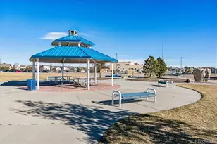 6610 Hannah Rose Rd, Colorado Springs, CO 80923 - Photo 27