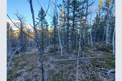 00 Haida Lane, Como, CO 80432 - Photo 9