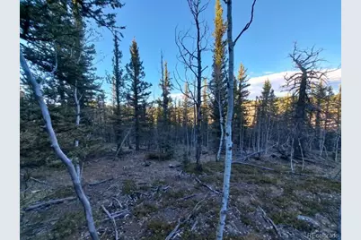 00 Haida Lane, Como, CO 80432 - Photo 1